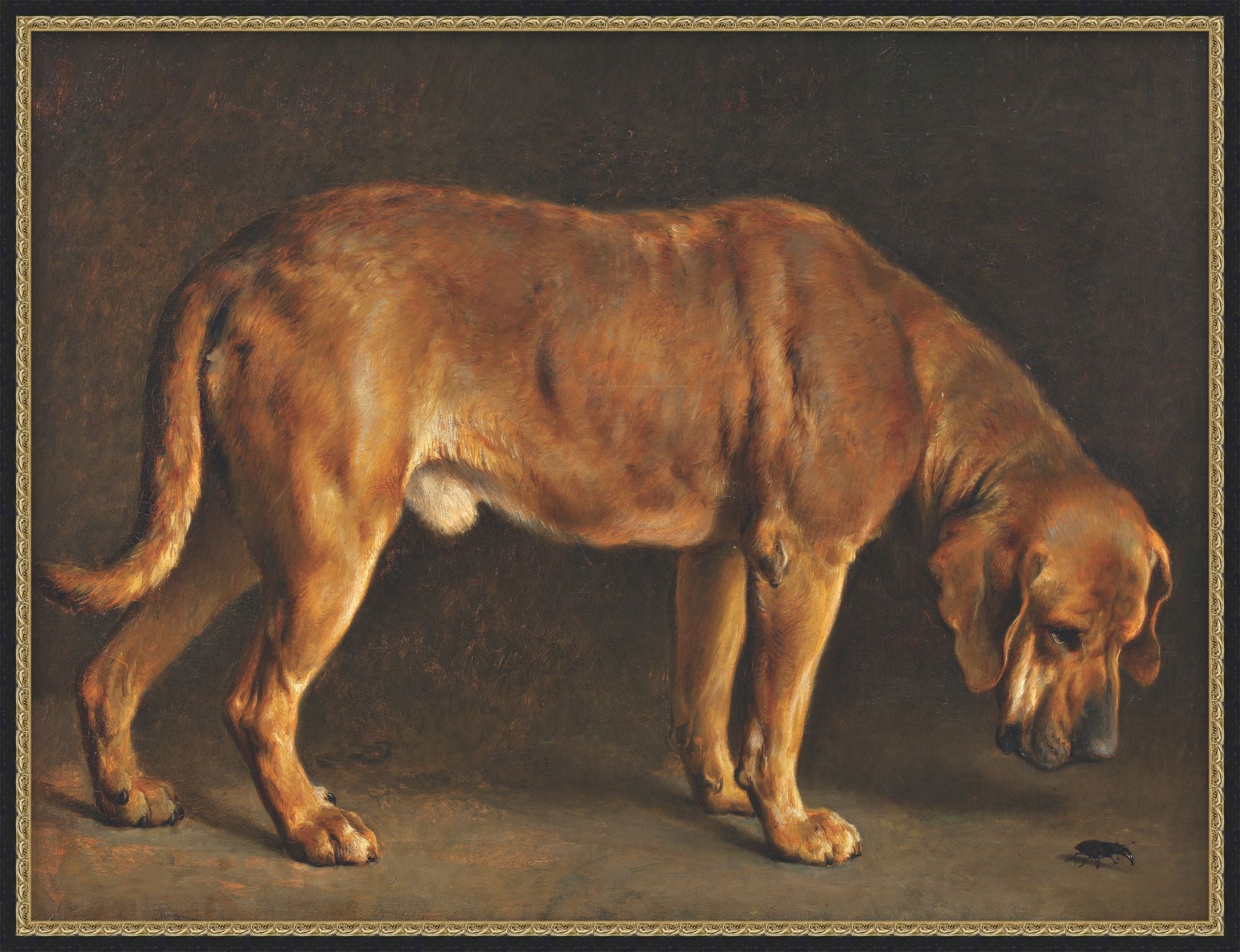 Hound and Beetle 1 - Theodore Alexander