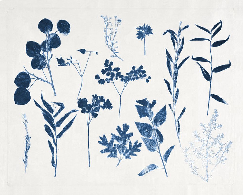 Blue and White Botanicals 2 artwork