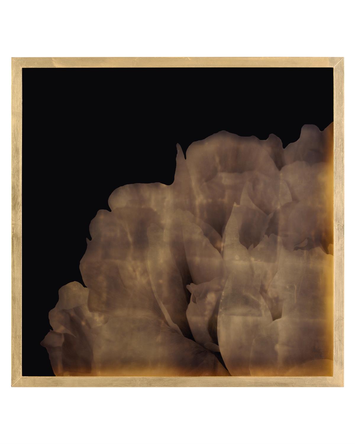 Mark McDowell's Shi Hana