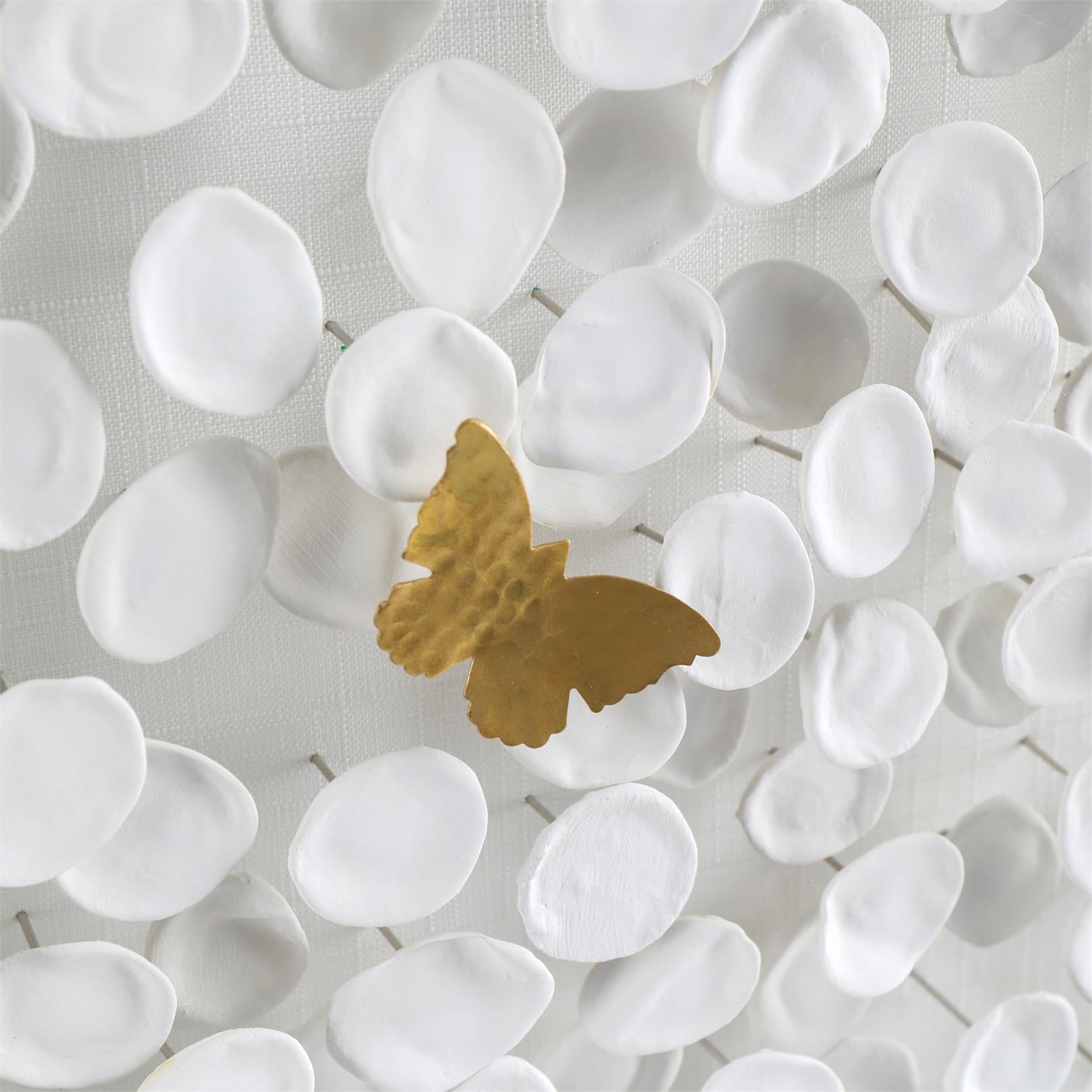 Petals and Butterflies