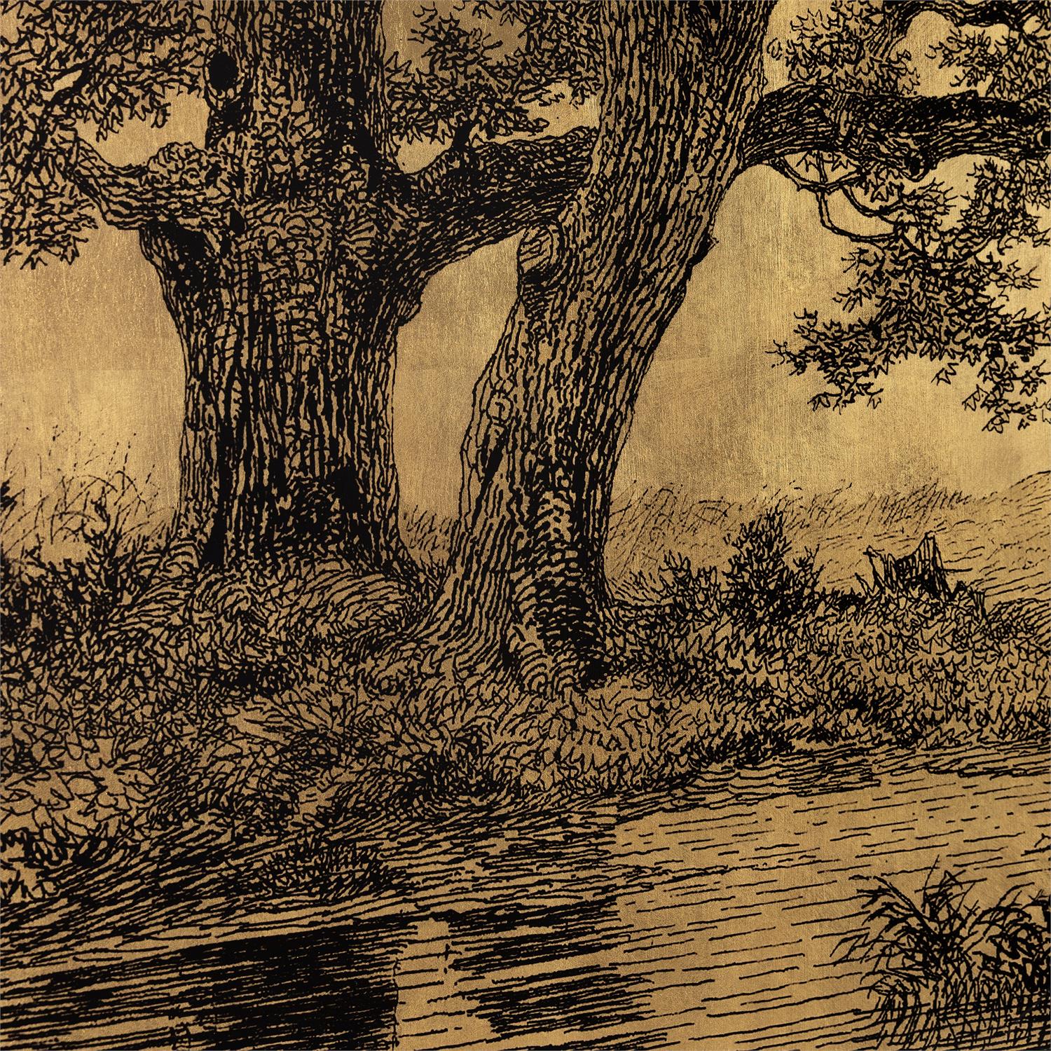 Grand Oaks Gold II