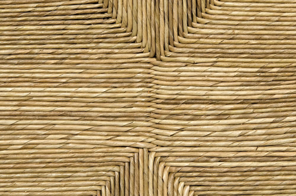 Brook 2 Door Sideboard, Teak in Clear Coat Semi-Gloss — Noir Furniture