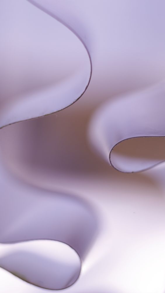 Curved Commentary 1 artwork