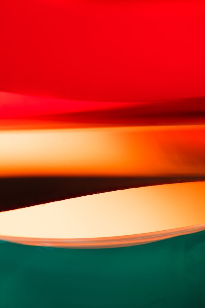 Wild Light 1 artwork