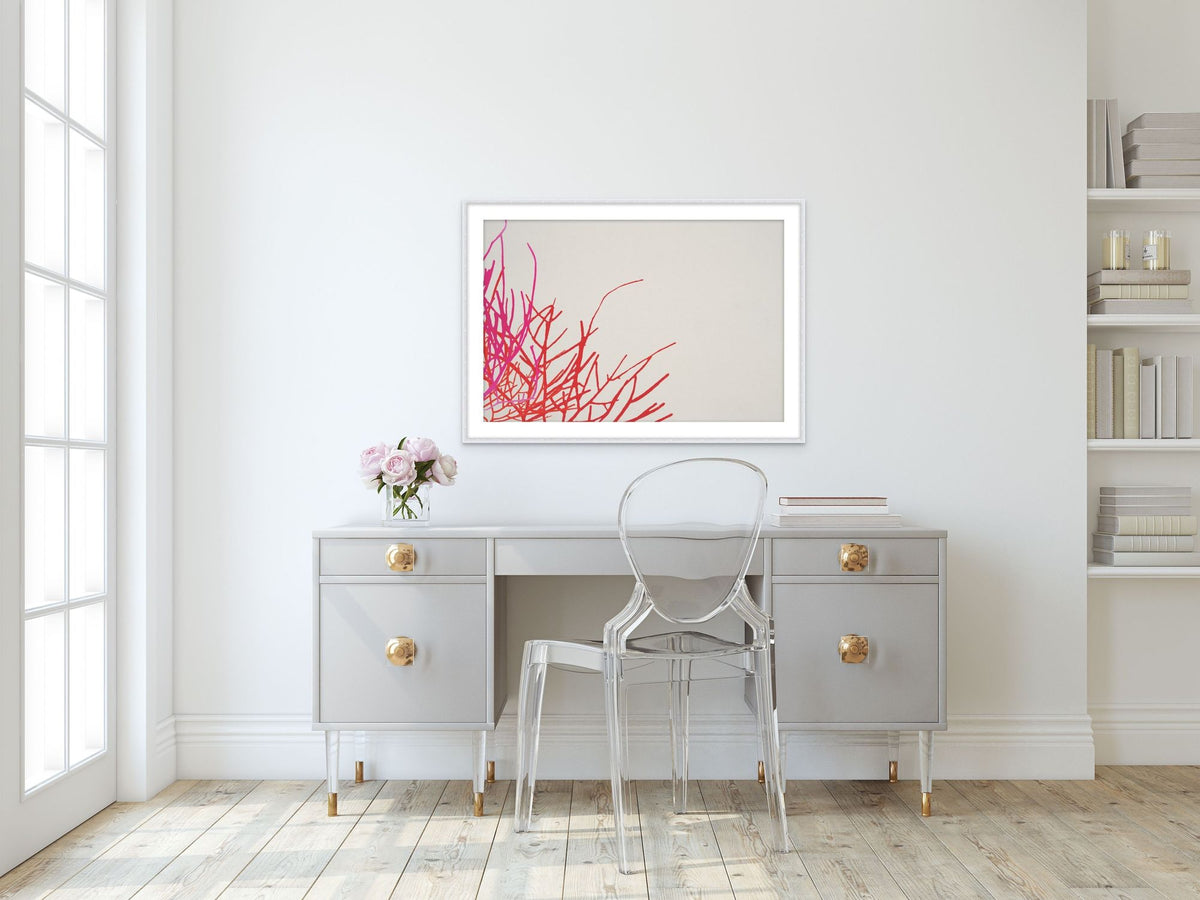 Coral Garden 2 in a room