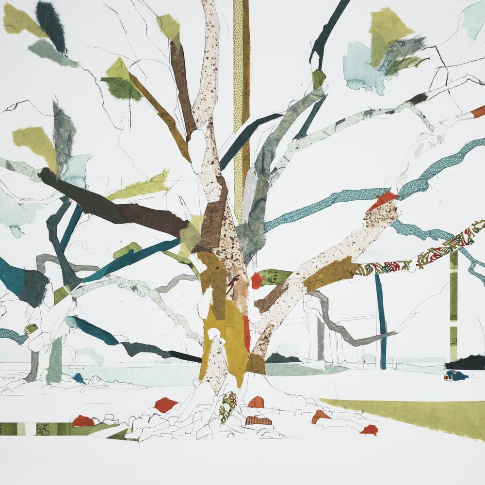 Softwood Shade 1 — artwork