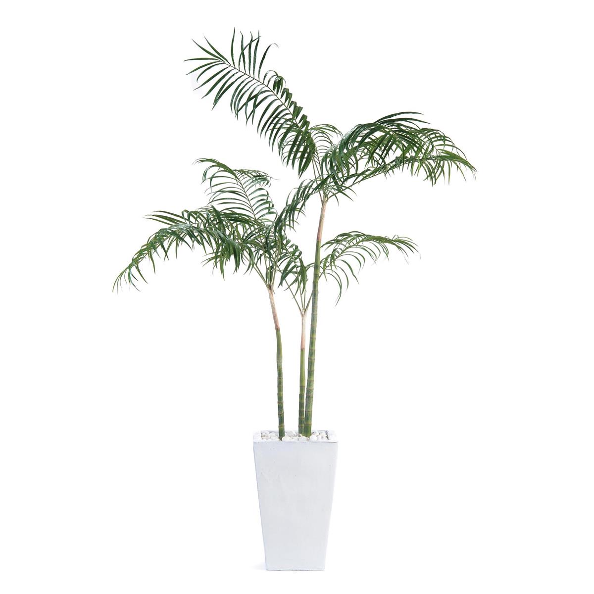 White Palms – Art by John Richard | Sutter & Vale