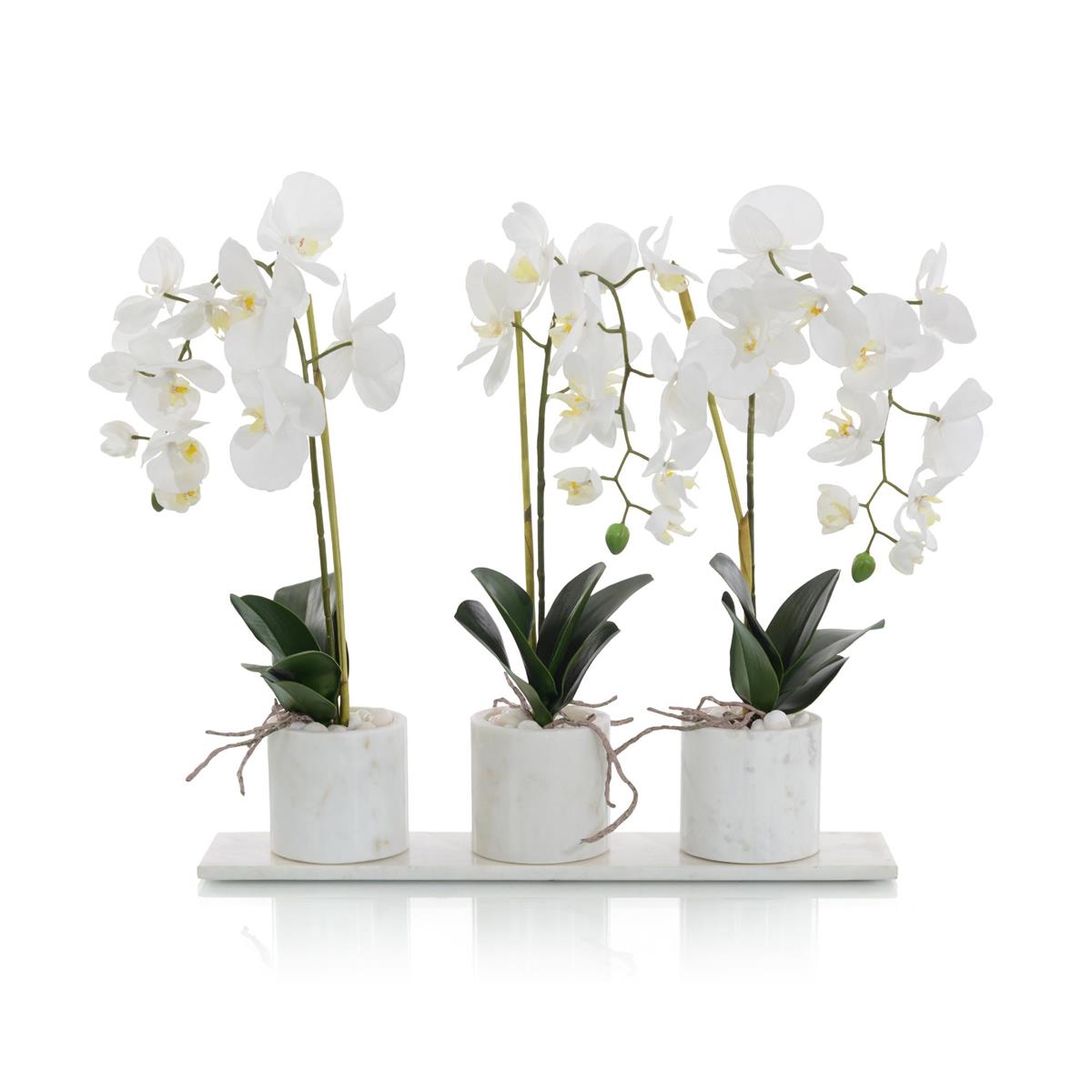 Marble Orchids – Art by John Richard | Sutter & Vale
