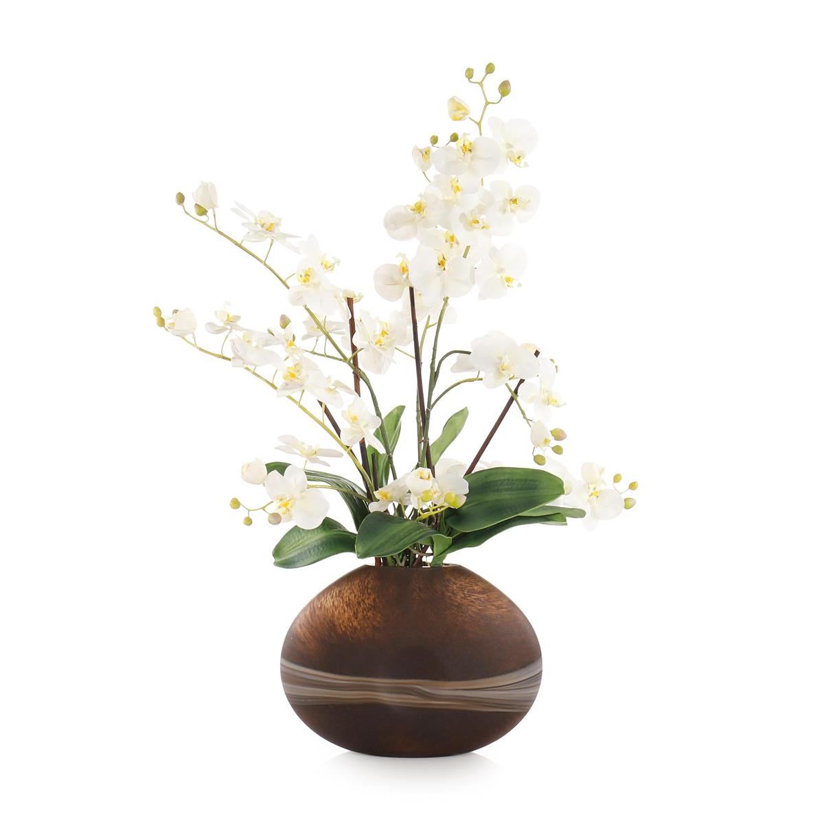 Desert Orchids – Art by John Richard | Sutter & Vale