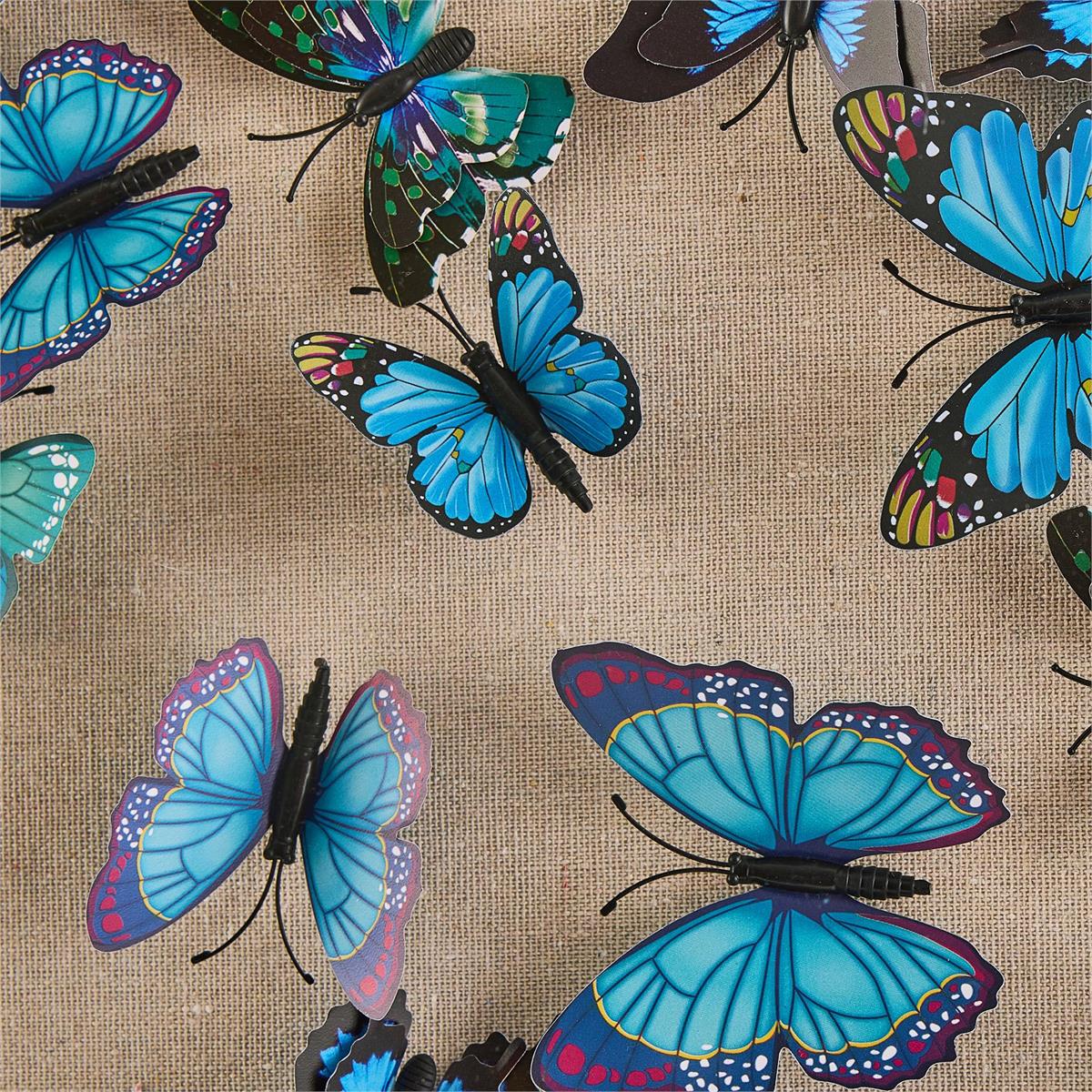 Tony Fey's Flight of the Butterflies by John Richard | Sutter & Vale