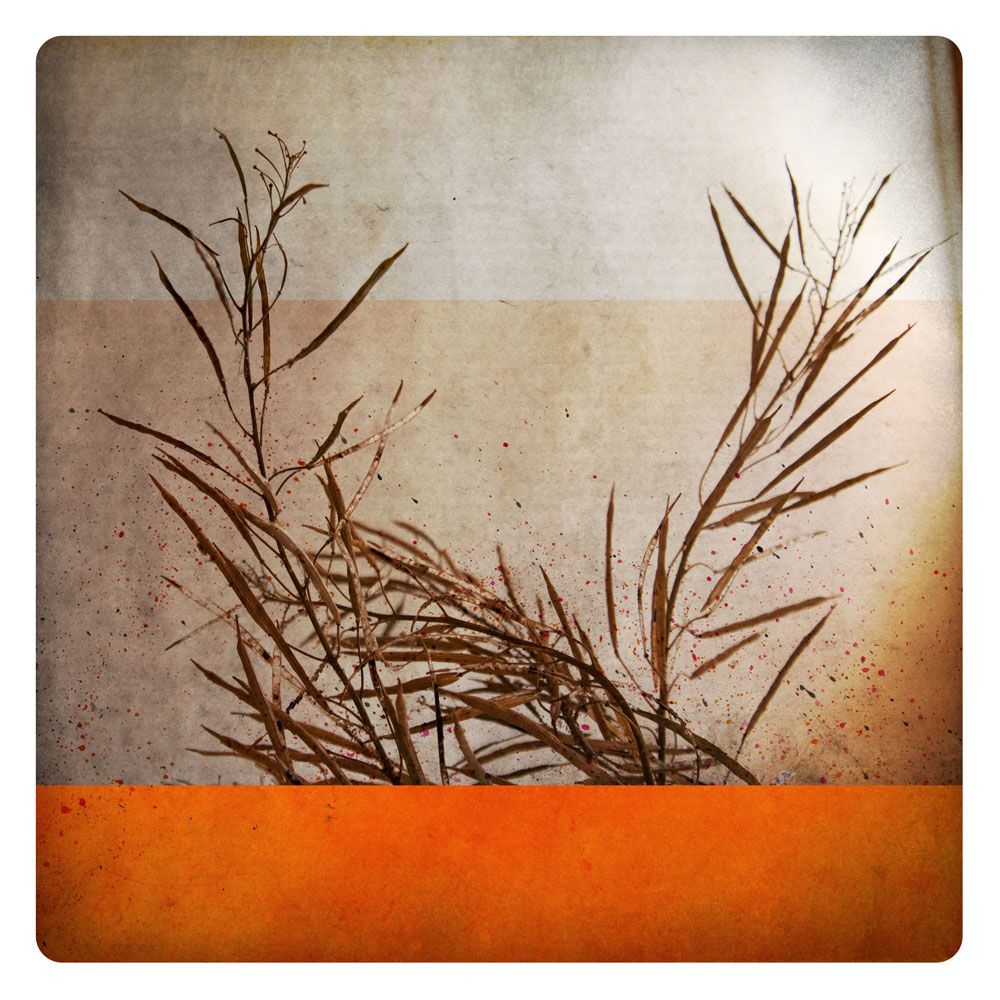 Automne 1 artwork