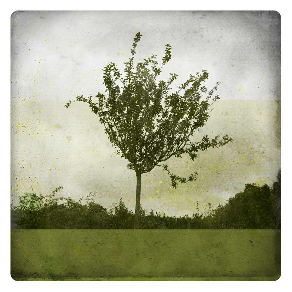 Verdure 1 artwork