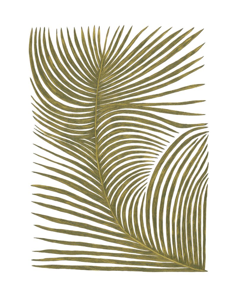 Botanicus Fem 2 — artwork