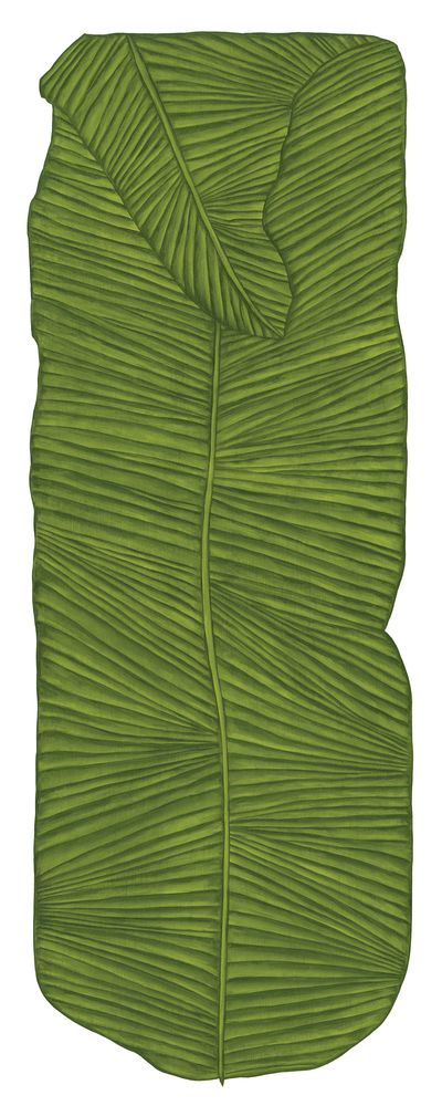 Botanicus Fronde 1 — artwork