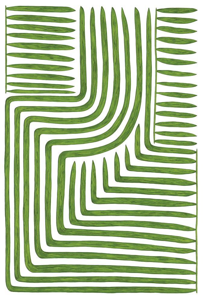 Botanicus Labyrinthus 1 — artwork