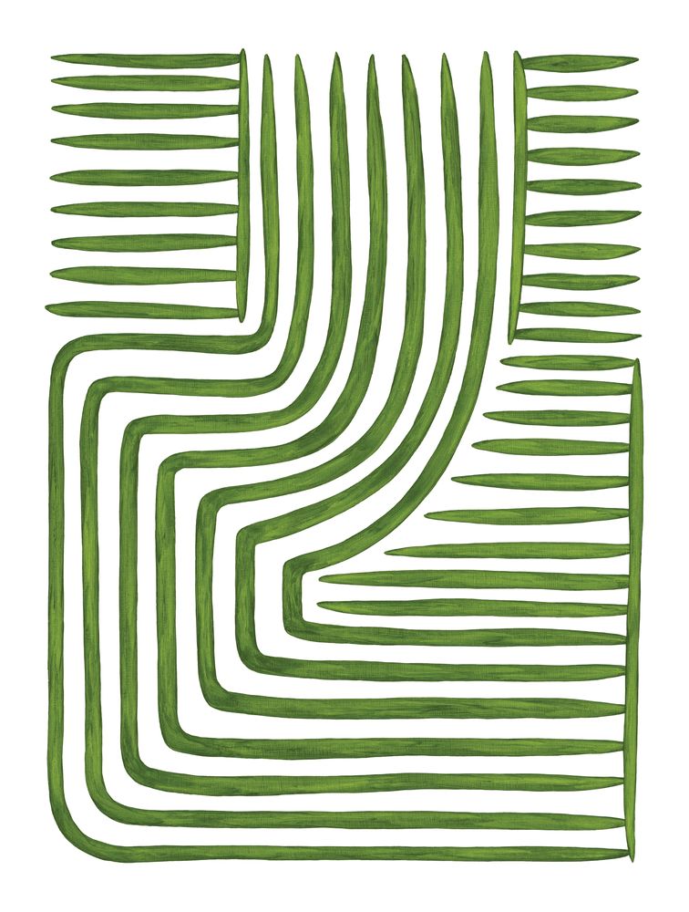 Botanicus Ordinatio 1 — artwork
