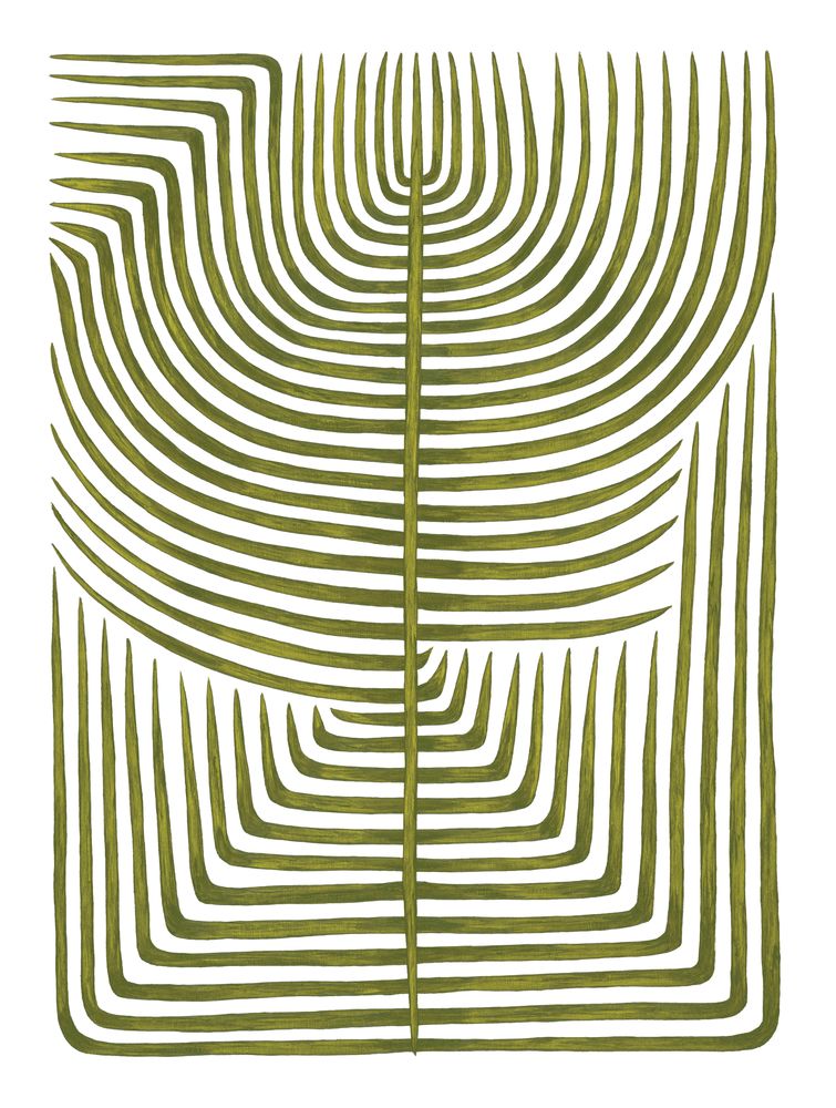 Botanicus Quinque 1 — artwork