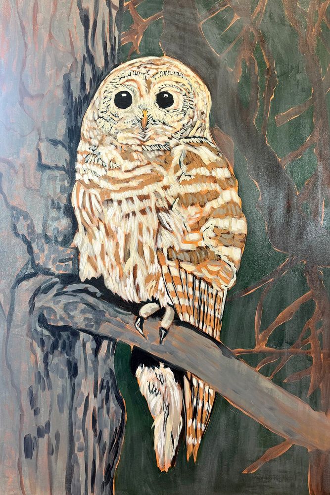 River Owl 1 artwork