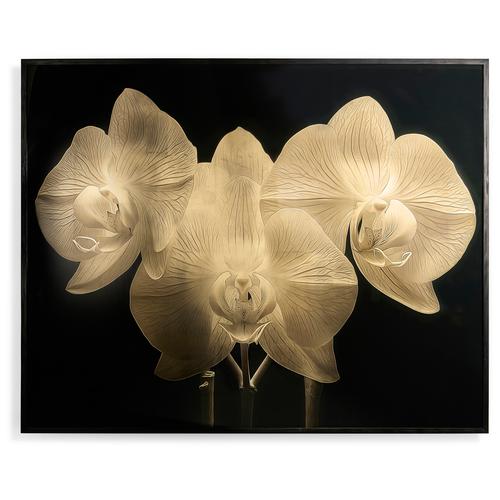 Gold Orchid – Accent Chairs by Jonathan Charles | Sutter & Vale