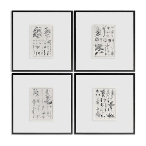 Botanica: The Art of Knowledge - Set of 4 – Accent Chairs by Jonathan Charles | Sutter & Vale
