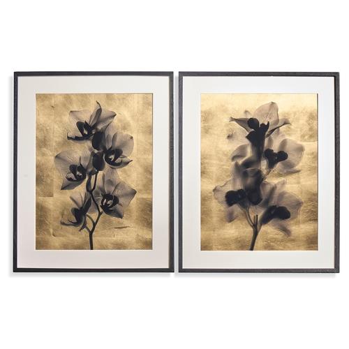 Black Orchids - Set of 2 – Accent Chairs by Jonathan Charles | Sutter & Vale
