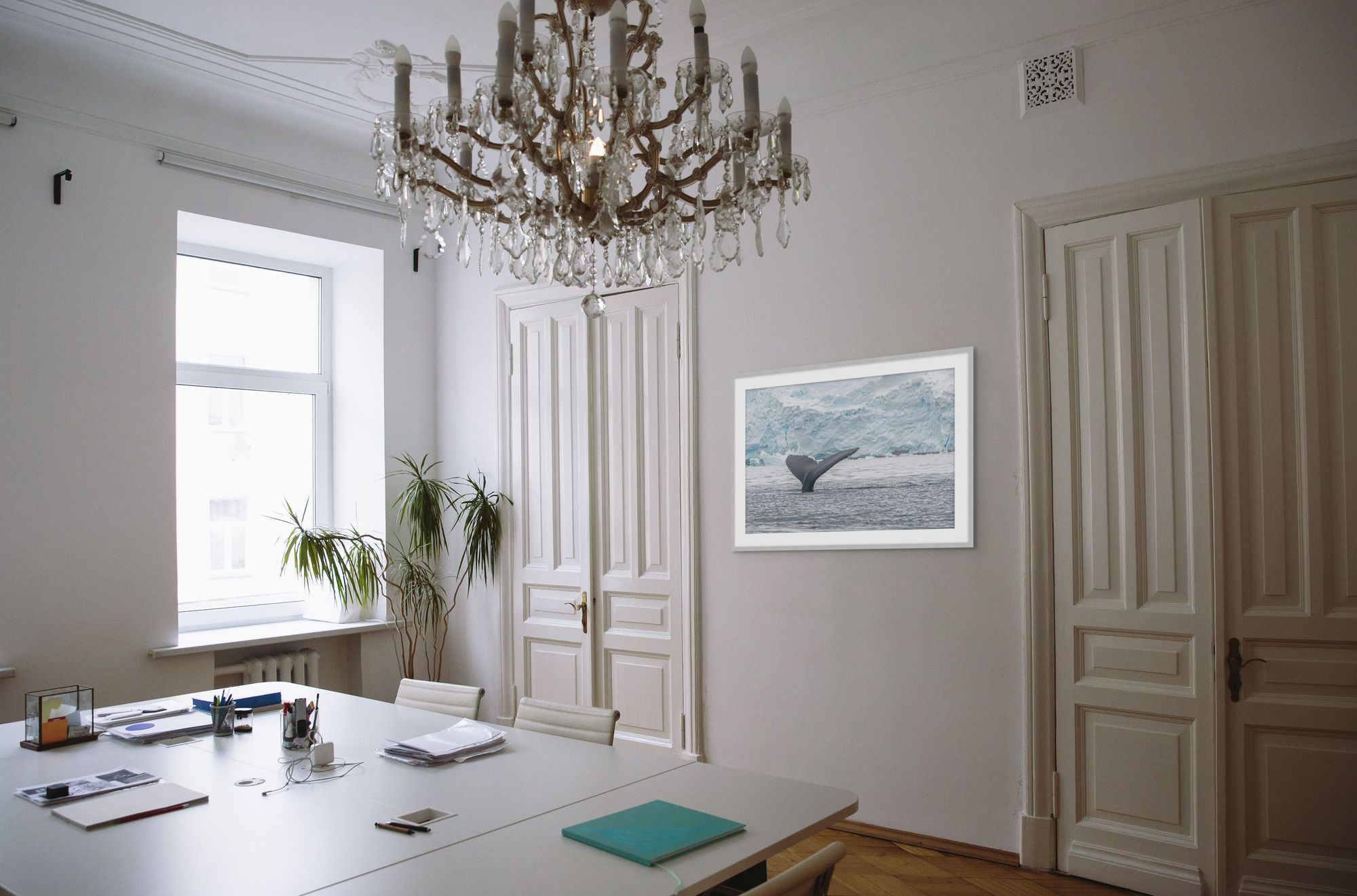 Antarctica Whale Fin 1 in a room