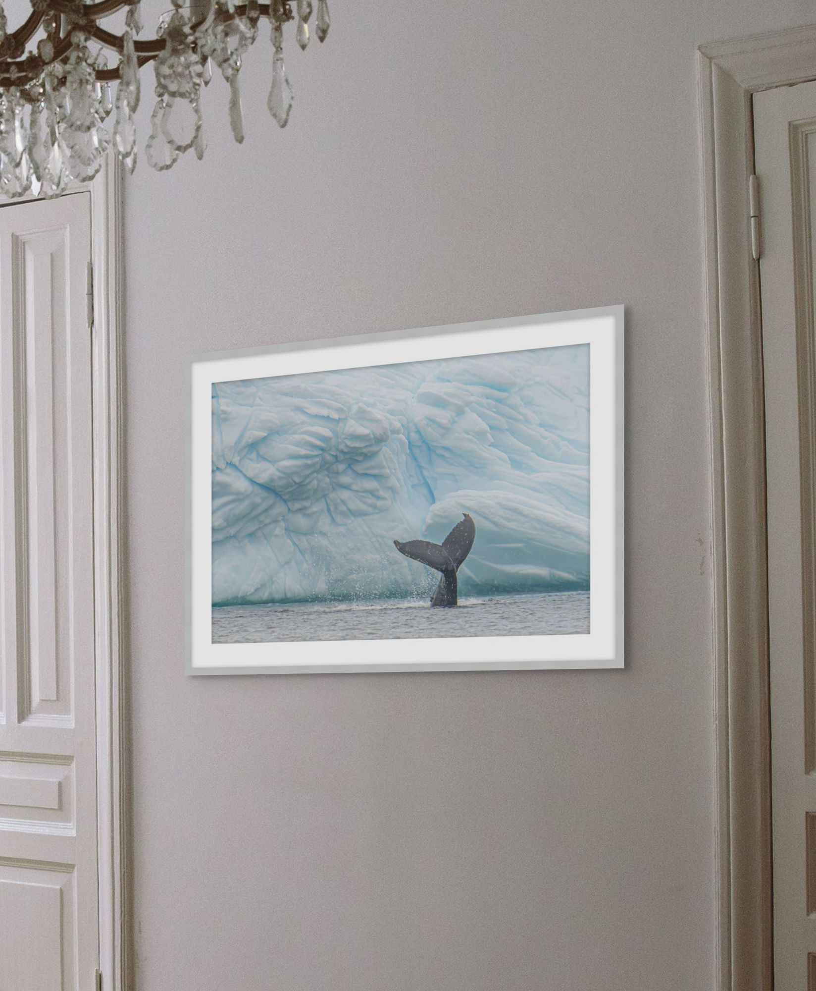 Antarctica Whale Fin 2 closeup
