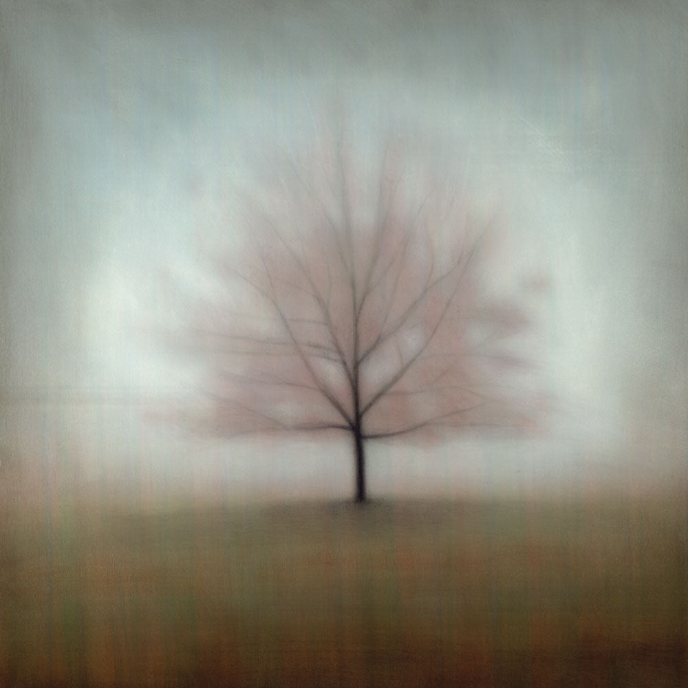 Shadows of the Trees 1 — artwork