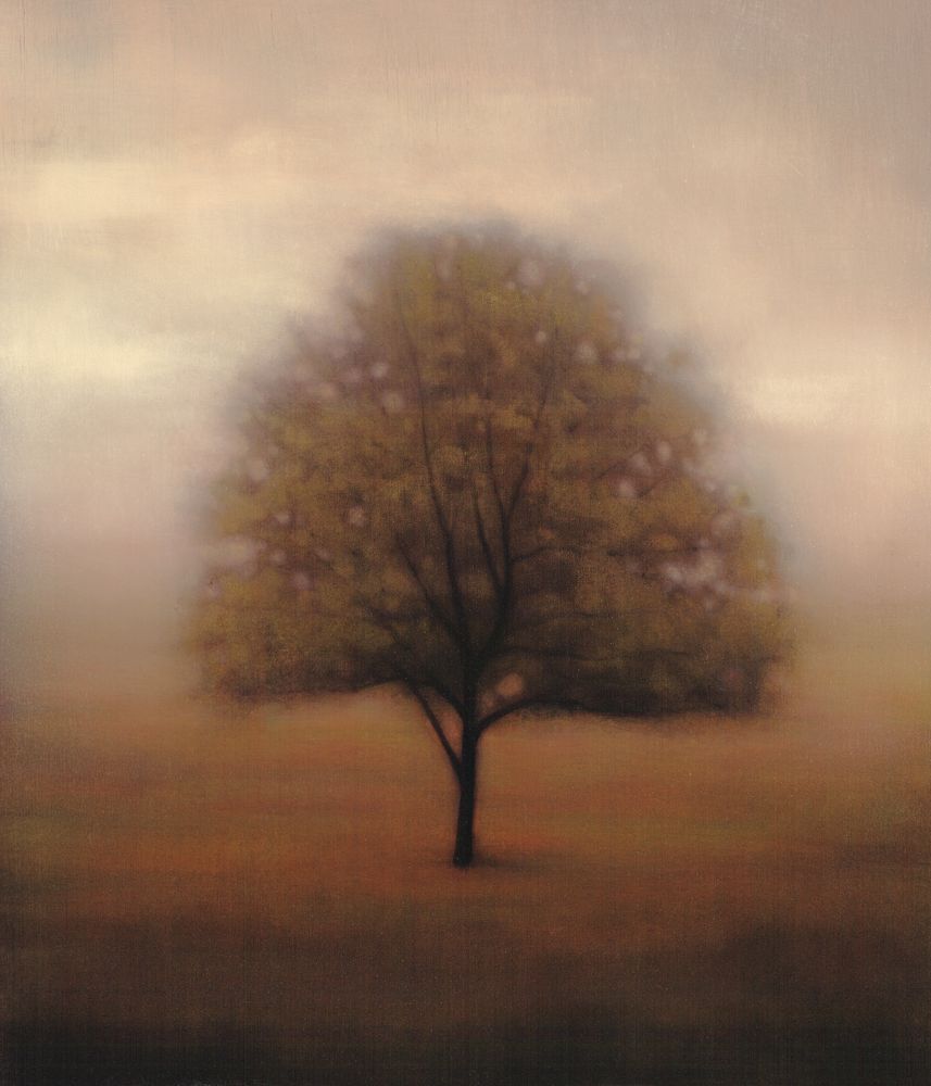 Wisdom of Age 2 — artwork