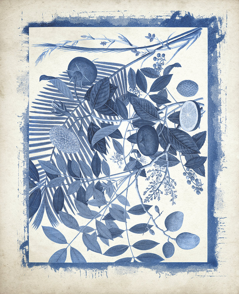 Botanicals Recast in Blue 5 artwork