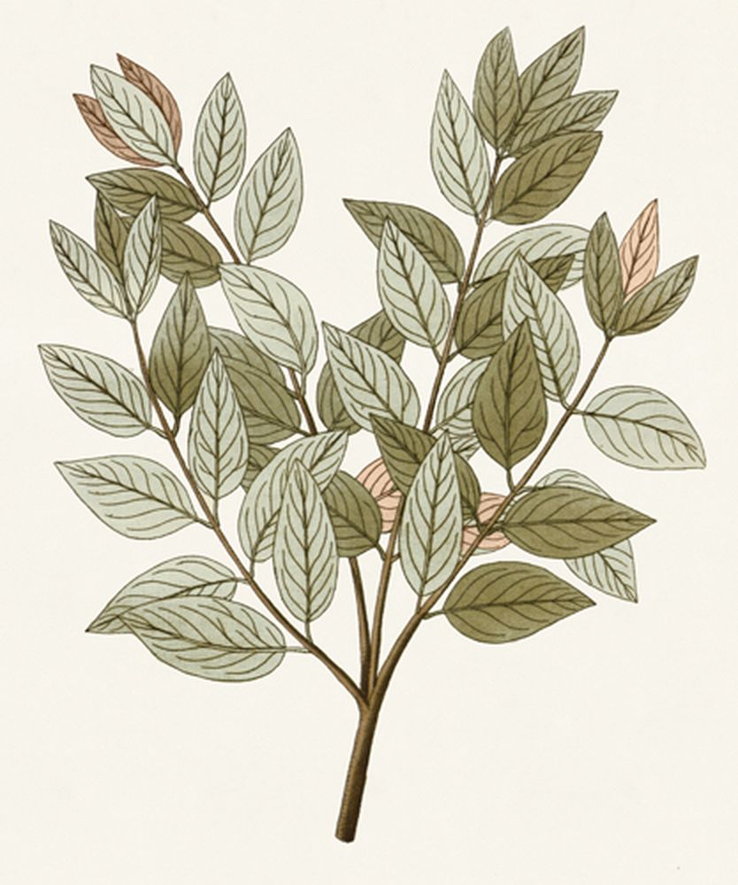 Garden Treasures 5 artwork