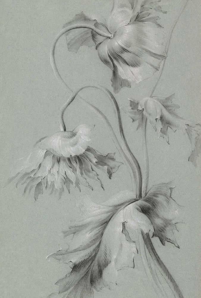 La Fleurit 1 artwork