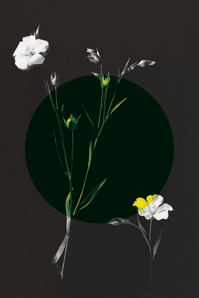 Color Burn Blossom 1 — artwork