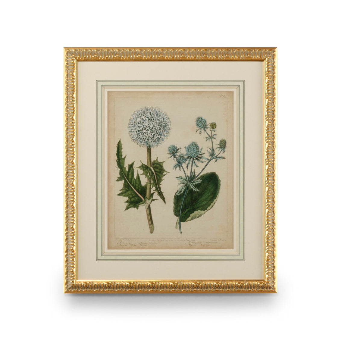 Cottage Florals III in 31 / Giclee - Chelsea House