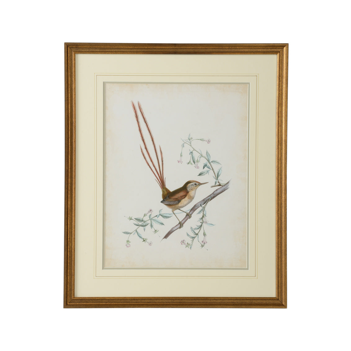 Delicate Birds I in 26 / Giclee - Chelsea House