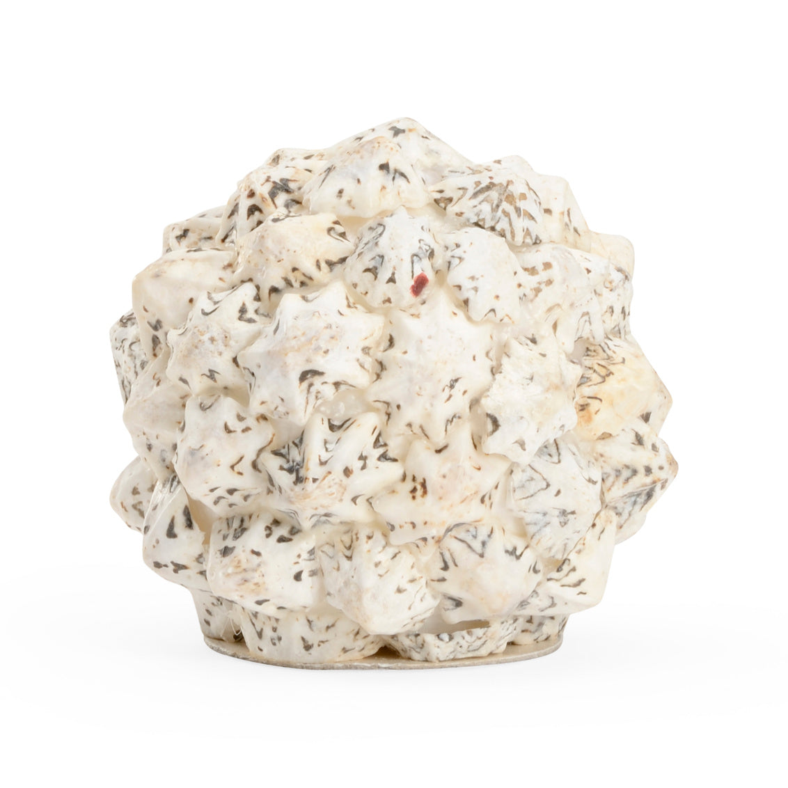 Shell Ball (Sm) in 3.5 / Shell - Chelsea House