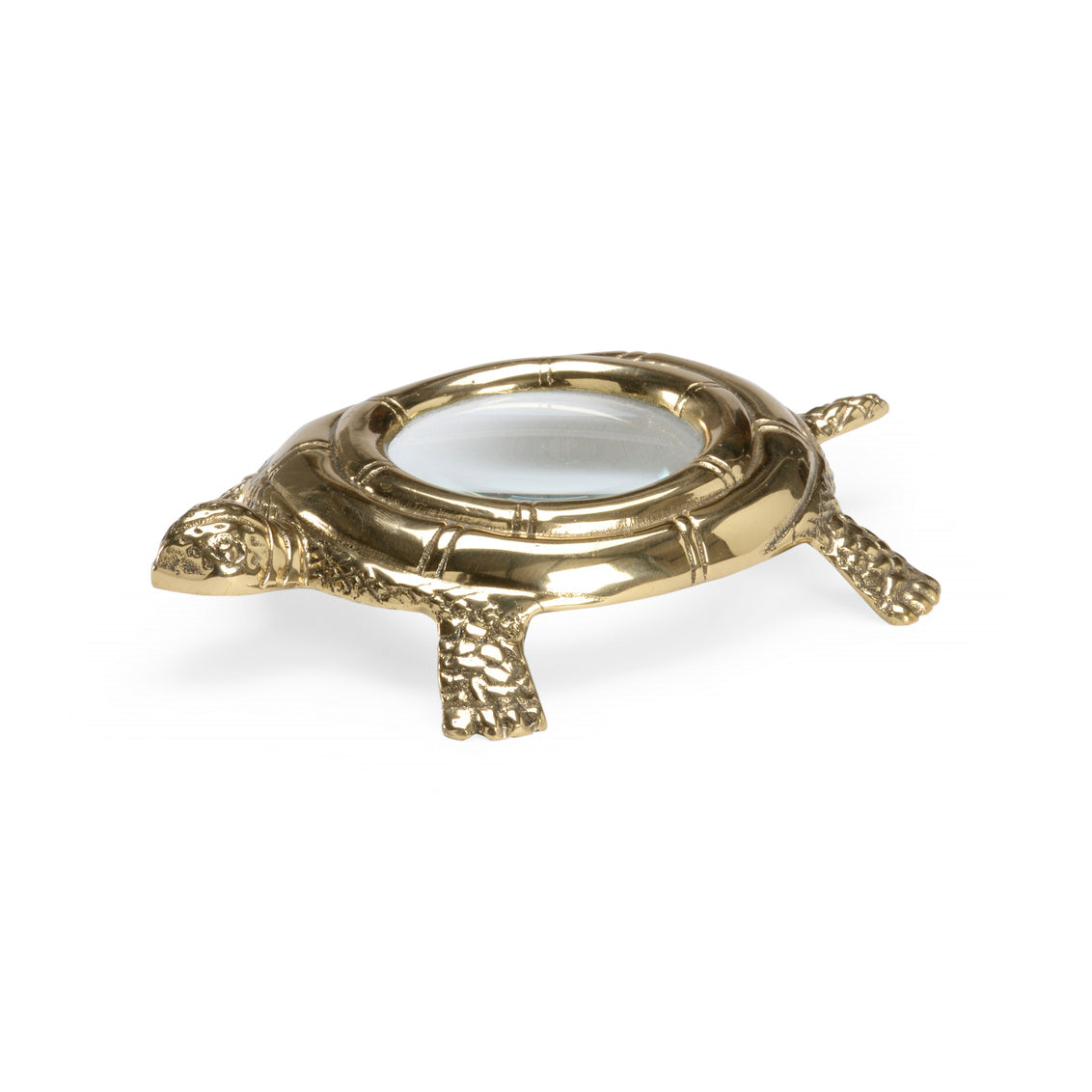 Turtle Magnifier - Brass in 1.5 / Metal - Chelsea House