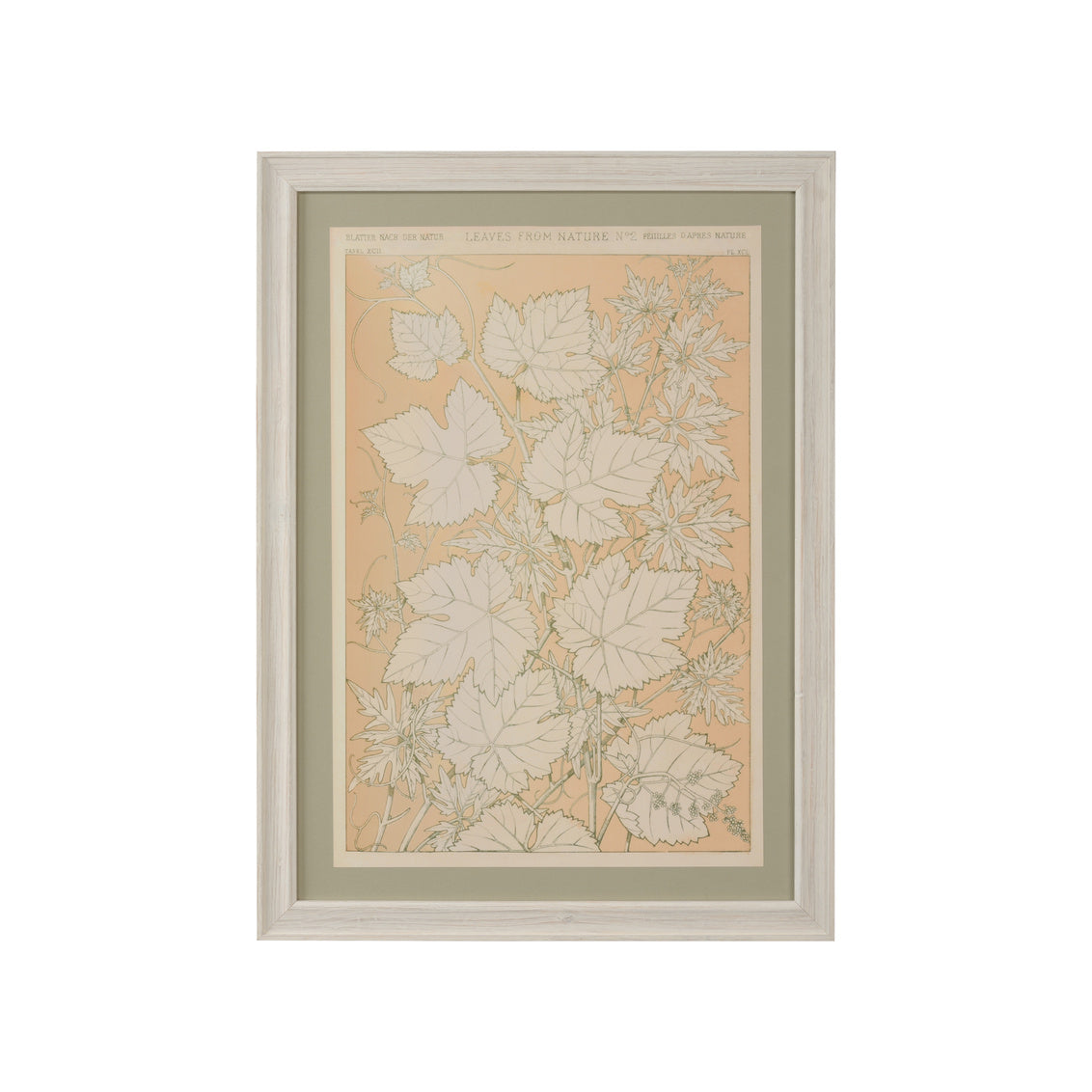 Leaves From Nature No.2 in 29 / Wood - Chelsea House