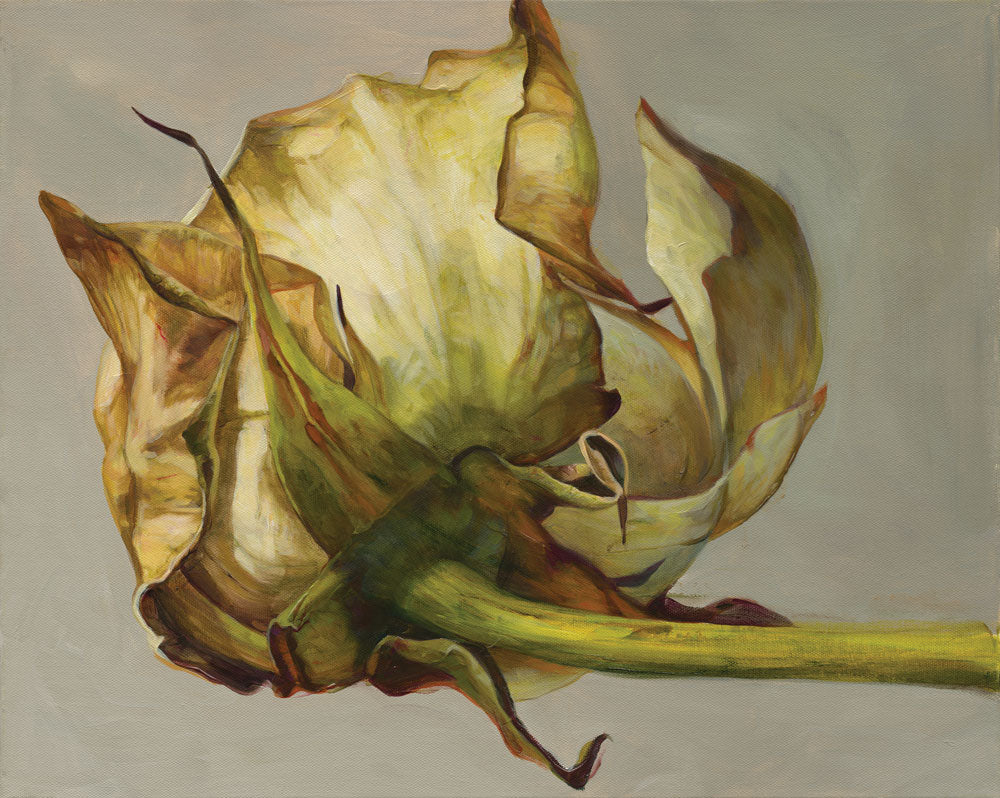 Soft Petals 1 — artwork