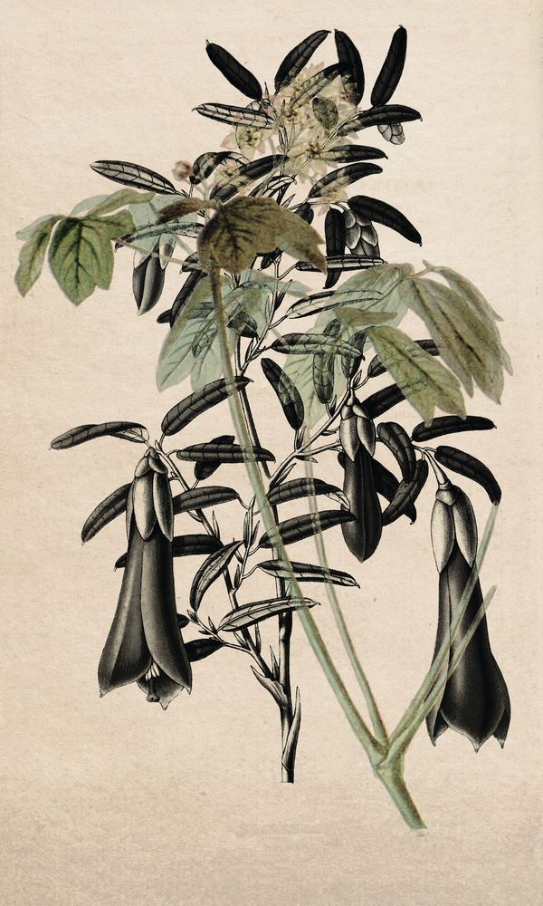 STNO-G001-06 artwork