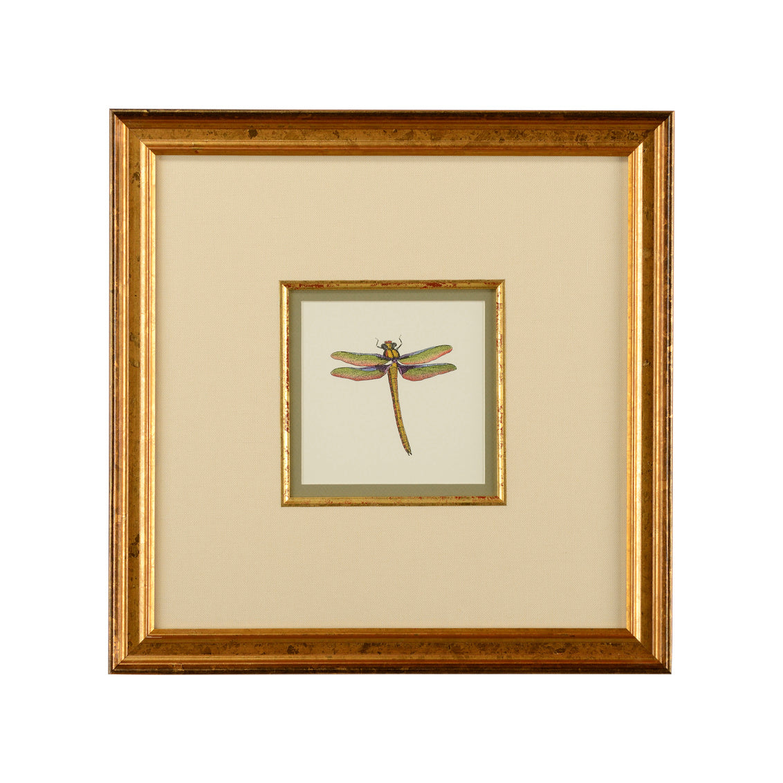 Miniature Dragonfly I in 18.5 / Giclee - Chelsea House