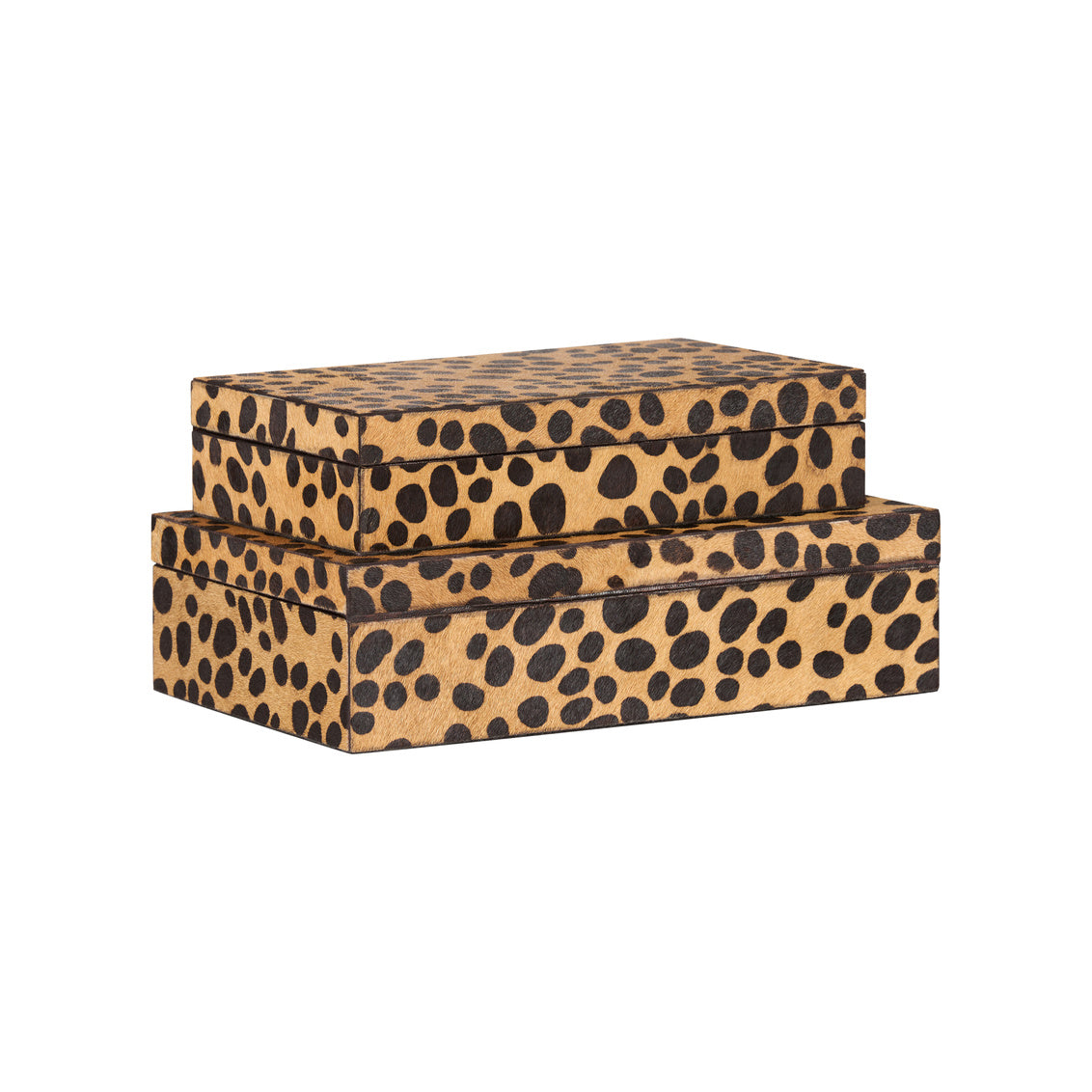 Leopard Boxes (S2)