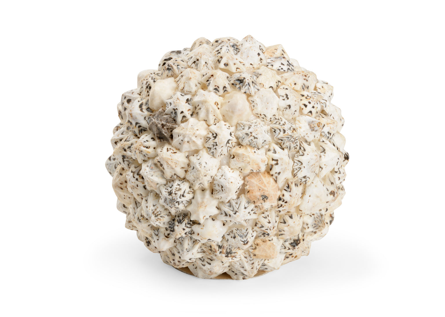 Shell Ball (Lg) in 5.5 / Shell - Chelsea House