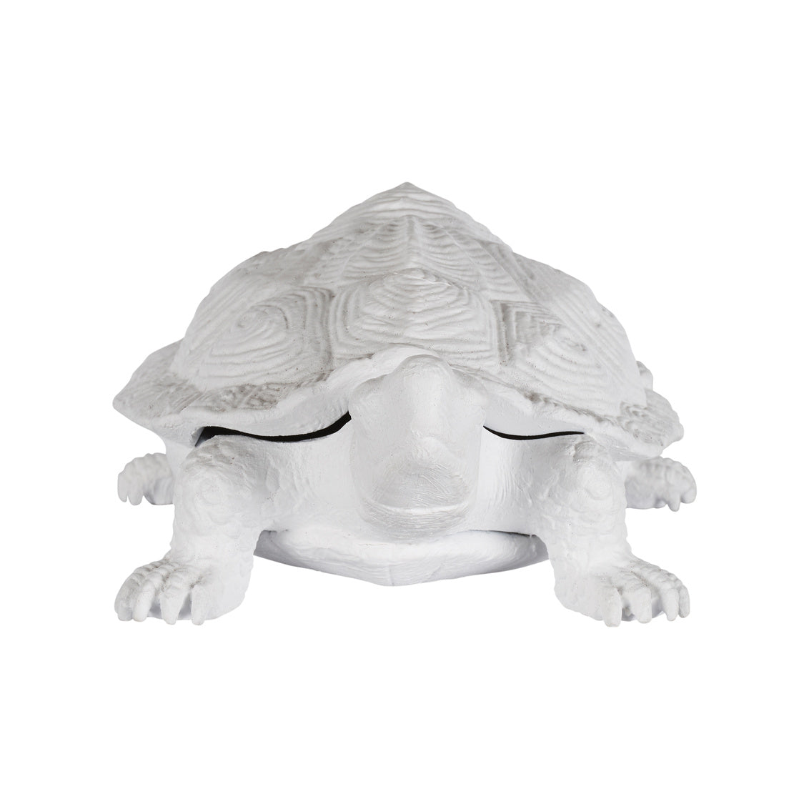 Turtle - White in White / Metal - Chelsea House