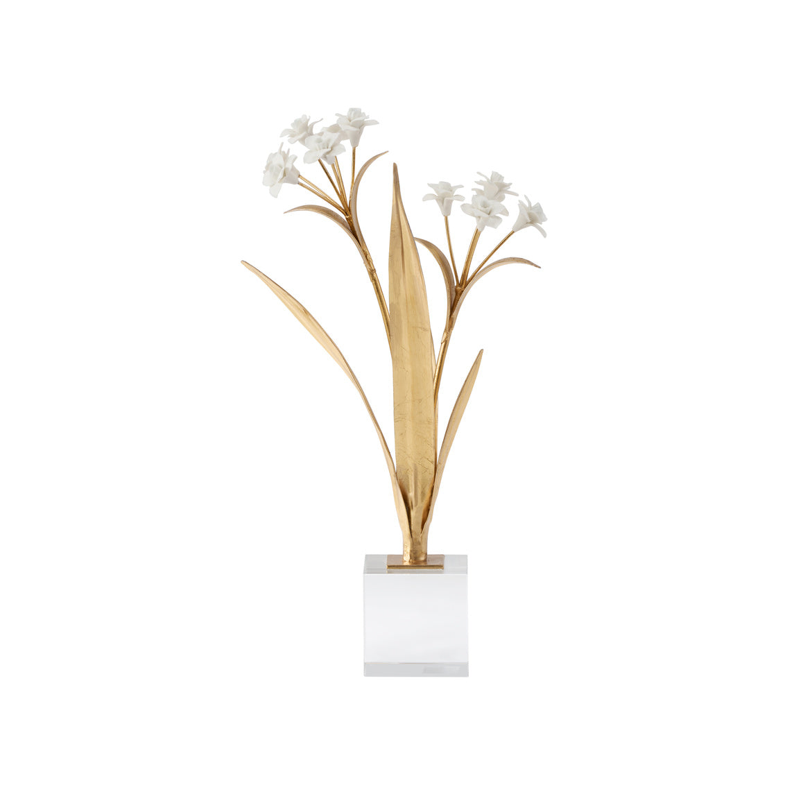Paperwhite Narcissus in 16 / Porcelain - Chelsea House