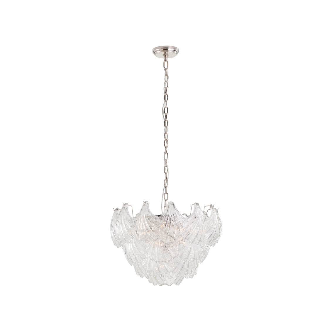 Shell Chandelier in 17 / Metal - Chelsea House