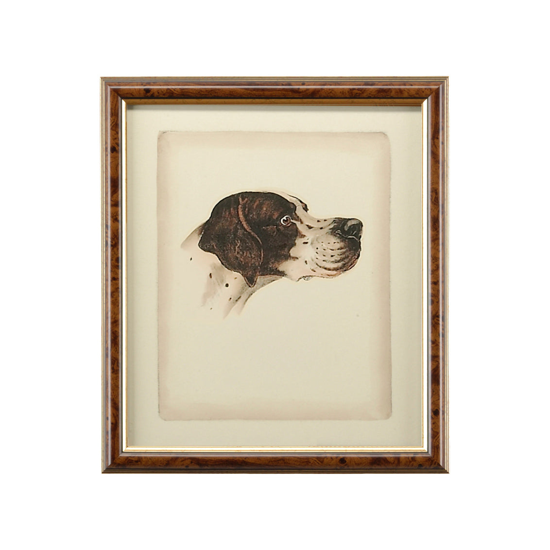 Danchin Pointer in 18 / Wood - Chelsea House