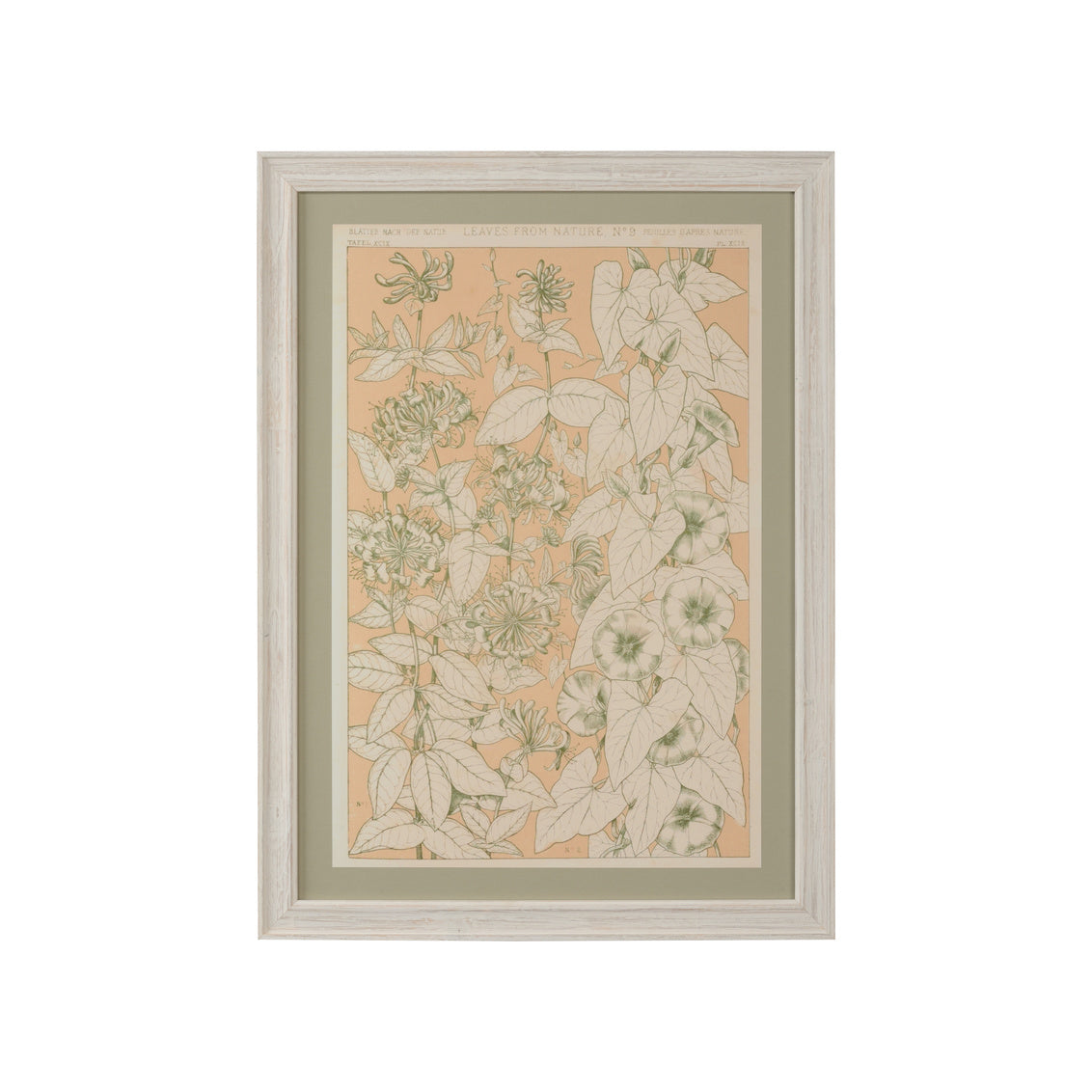 Leaves From Nature No.9 in 29 / Wood - Chelsea House