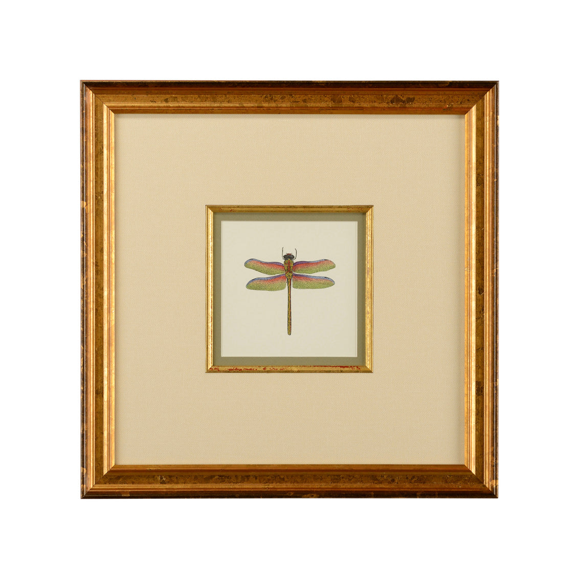 Miniature Dragonfly III in 18.5 / Giclee - Chelsea House