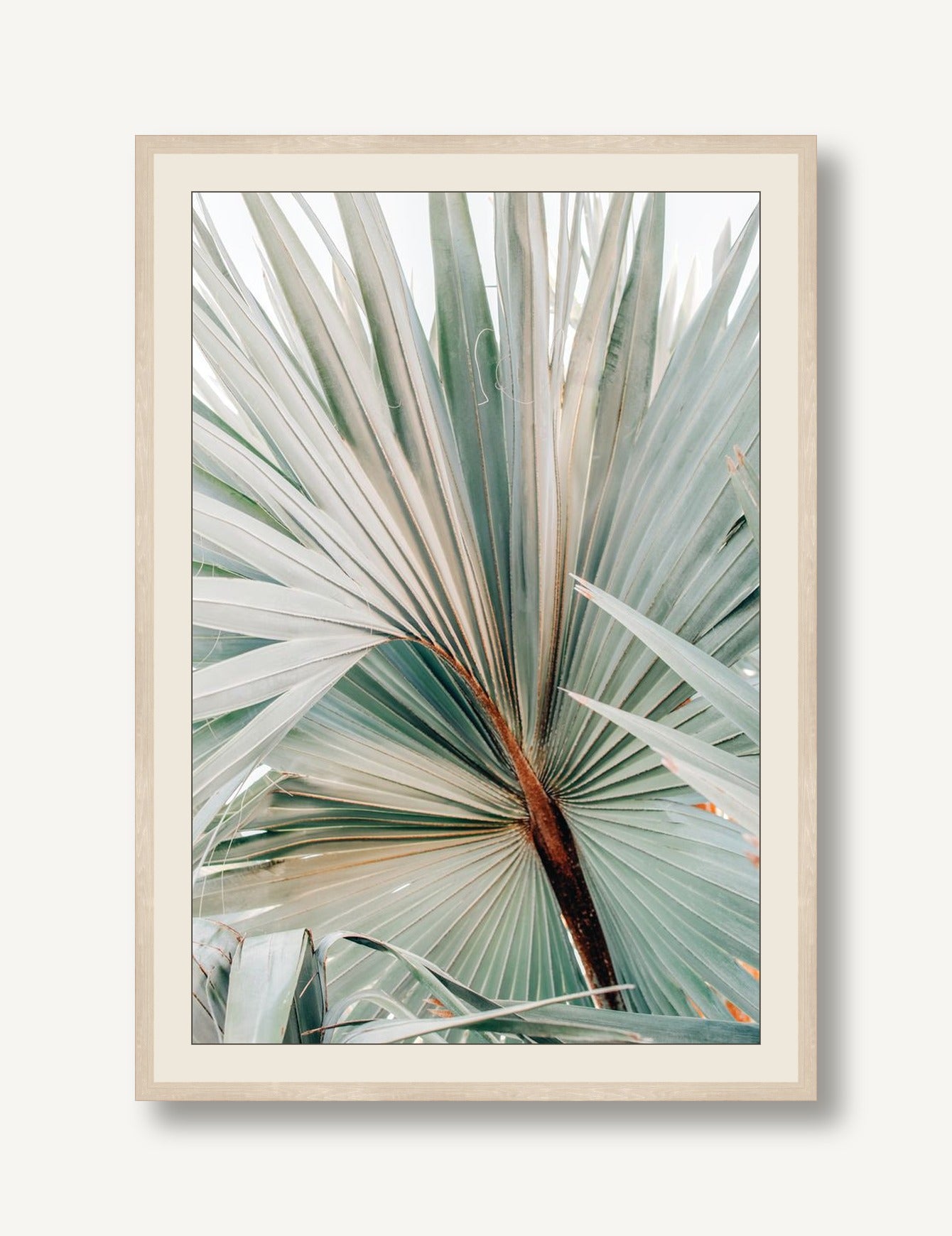 ALBO-S002-01 framed